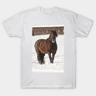 Winter Horse T-Shirt